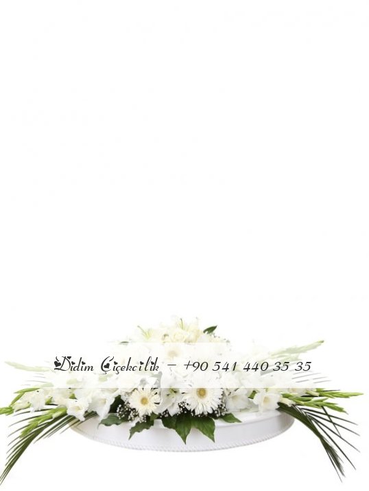 BEYAZ İNCİ
