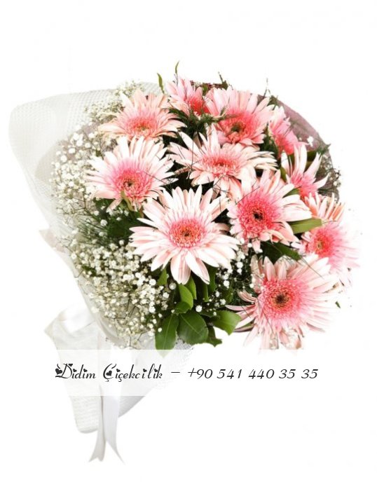 PEMBE DÜŞ